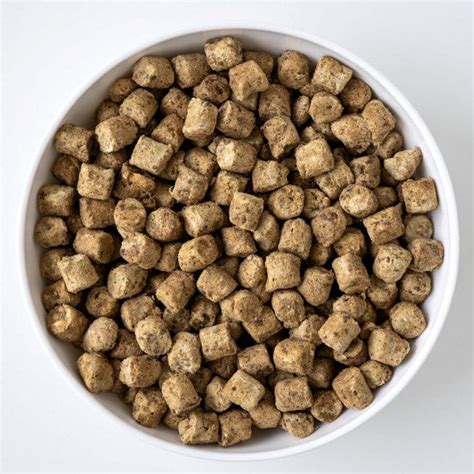 Koha Freeze Dried Raw Bites Beef Entrée Topper Or Treat For Dogs