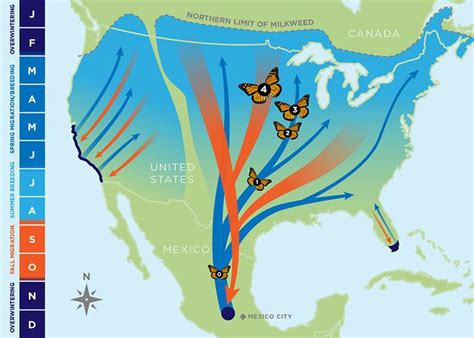 Monarch Butterfly Migration Image Eurekalert Science News Releases