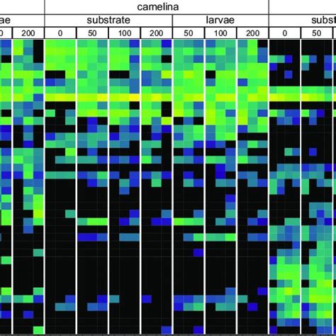 Heat Map Of The Most Abundant Bacterial Genera Over Time Only Genera Download Scientific