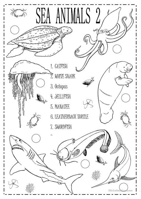 Sea Animals Worksheets Kindergarten