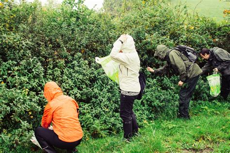 A ban on foraging? Bristol City Council wants one (apparently)