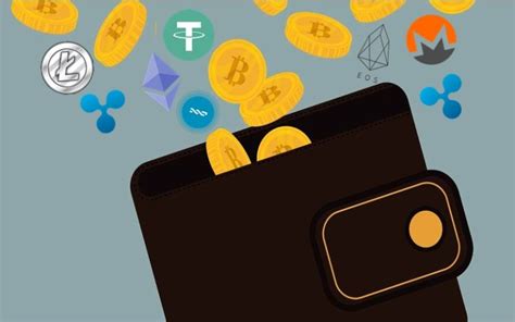 How To Choose The Right Cryptocurrency Wallet Coindoo