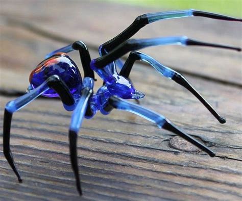 Glass Blown Spiders Spider Glass Arachnids
