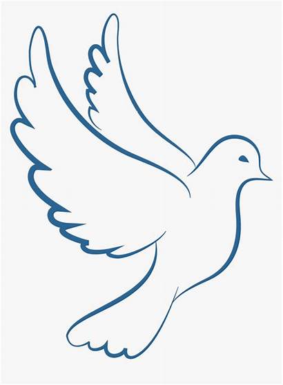 Paloma Paz Clipart Bird Line Transparent Dove