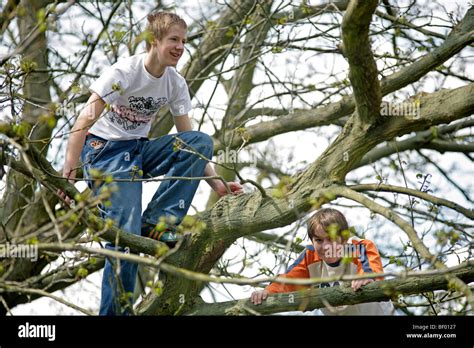 Teenage Boys Climbing A Tree Stock Photo Alamy