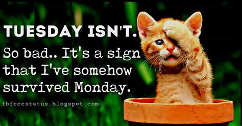 Many of these would be perfect funny good morning texts for him or her. Funny & Happy Tuesday Morning Quotes With Funny Tuesday Memes