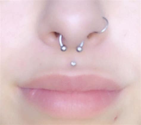 Septum Piercing Crooked Or Swelling I Got My Septum Pierced Yesterday