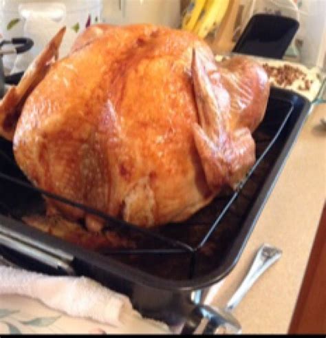 Cook a Turkey In a Convection Oven | Recipe (With images) | Cooking 