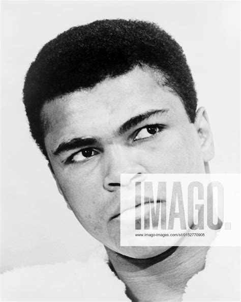 muhammad ali born cassius marcellus clay jr 17 january 1942 3 june 2016 was an american