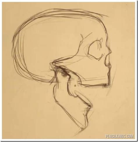 Open Mouth Skull Drawing At Getdrawings Free Download