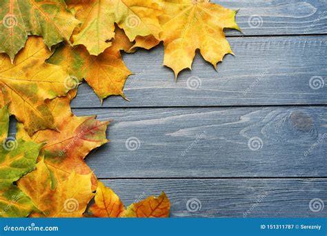 Beautiful Autumn Leaves On Color Wooden Background Stock Image Image
