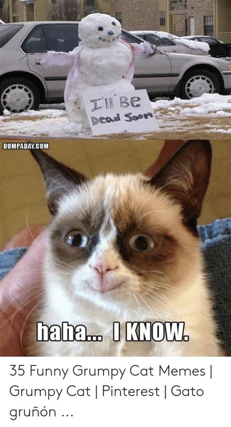 18 Funny Memes Moody Cat Factory Memes