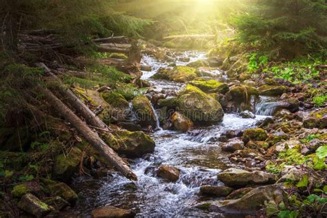 Corredeira Bonita Da Paisagem Em Um Rio Das Montanhas Na Luz Solar