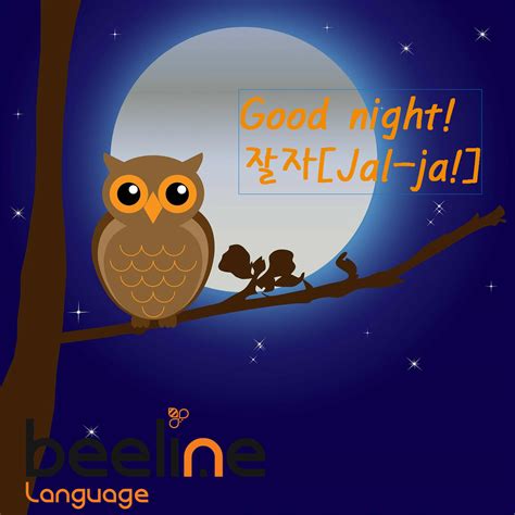 More german words for good night. 'Good Night' in Korean: How to Say Good Night in Korean ...