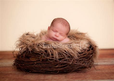 Bird Nest Baby Photography Prop Bird Nest Photography Etsy Infant