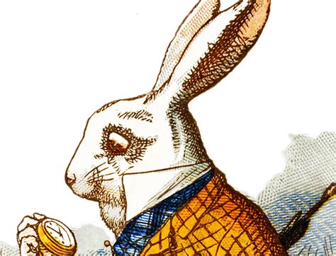 The White Rabbit I M Late Alice In Wonderland Etsy