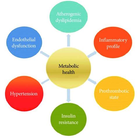 The Components Of Metabolic Health And Metabolic Syndrome Download Scientific Diagram