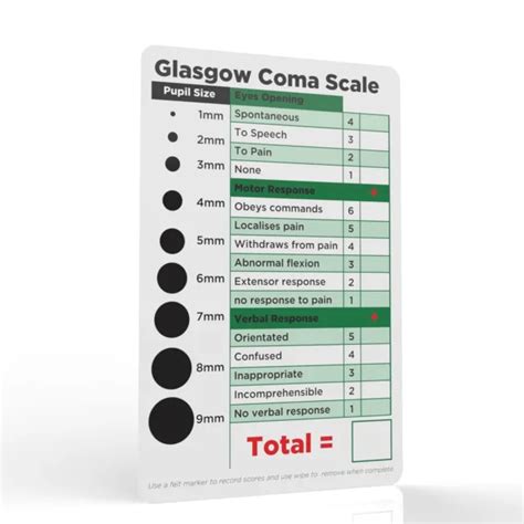 GLASGOW COMA SCALE GCS Horizontal Badge ID Card Pocket Reference Nurse