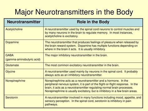 What Is The Role Of Neurotransmitters In Our Body