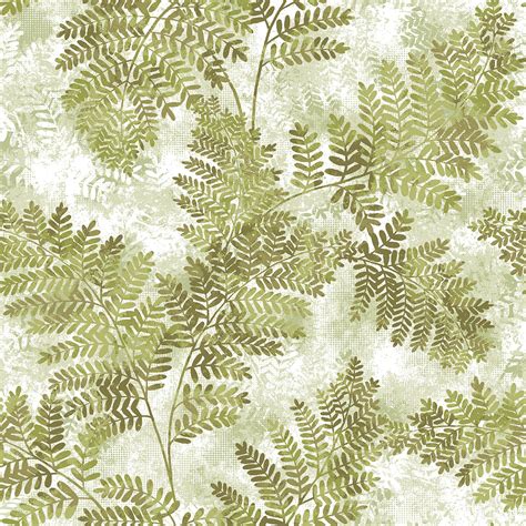 Fern Wallpapers Wallpaper Cave