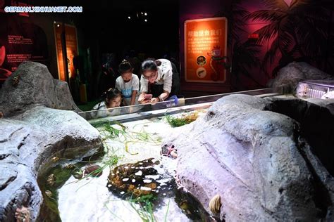 Sea Life Aquarium Erlebnistour Für Kinder In Chongqing