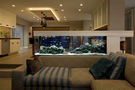 5 Interesting Ways To Incorporate An Aquarium Into Your Living Room