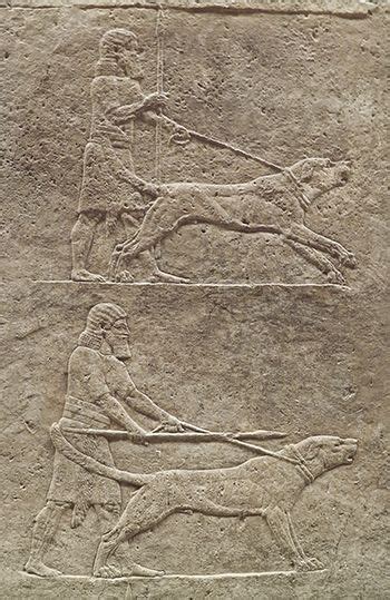 The Royal Lion Hunt Reliefs From The Assyrian Palace At Nineveh About