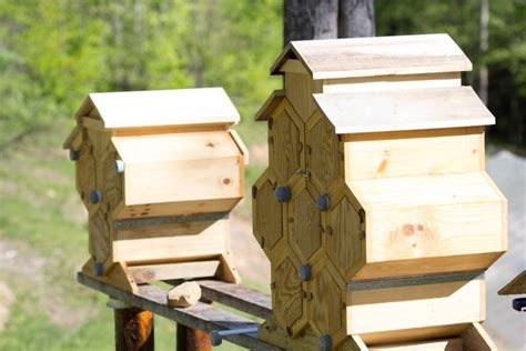 Introducing The Honeycomb Hives Integrative Beekeeping System