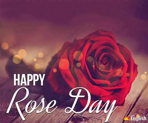Happy Rose Day 2022 Wishes Messages Quotes Greetings Sms Facebook