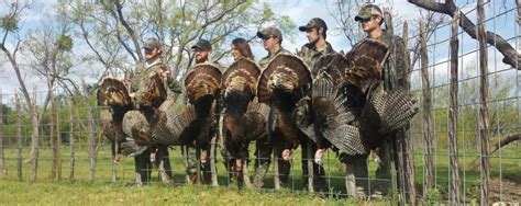Texas Turkey Hunts Guided And Diy Turkey Hunting Prone Outfitters
