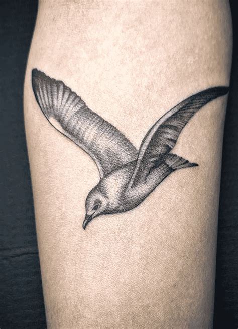 Seagull Tattoo Design Images Seagull Ink Design Ideas In 2022