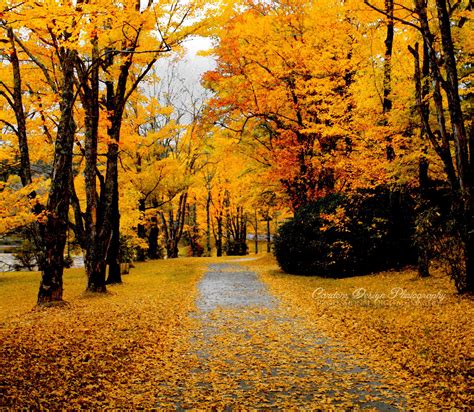 The blue ridge parkway stretches 469.1 miles from afton, virginia south to cherokee, north carolina. Blowing Rock, NC | Blue ridge parkway, Blue ridge, Maple ...