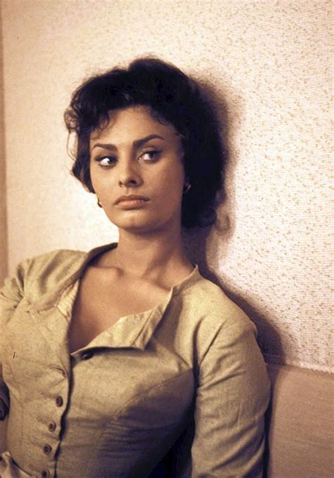 Classic Actresses Beautiful Actresses Divas Sophia Loren Images Old Hollywood Stars Italian