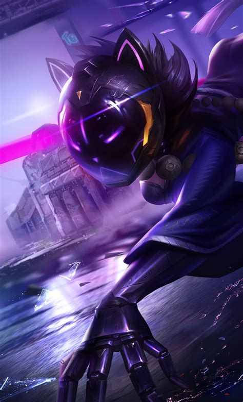 Anime Ninja Cats