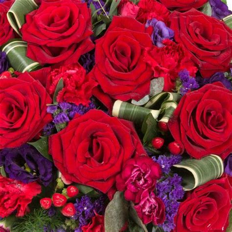 Check spelling or type a new query. Red Rose & Purple Posy - Funeral Flowers Oxford