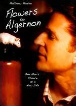 Well do you know he put algernon in a box like a big tabel with alot of twists and terns like all kinds of walls and a start and a finish like the paper had. Flowers-For-Algernon - Trailer - Cast - Showtimes ...