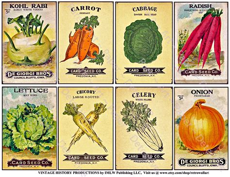 Antique Vegetable Seed Packets Printed Sheet Vintage Seed Etsy