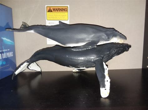 Humpback Whale Maia And Borges Schleich Mojö Fun Animal Toy Blog