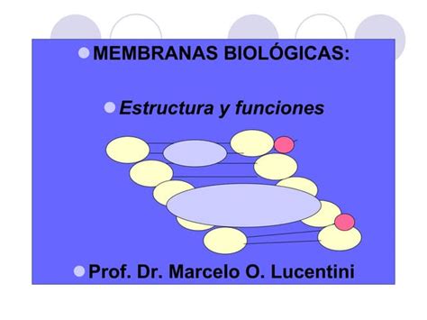 Membranas Biológicas Estructura Funciones Y Transporte Ppt