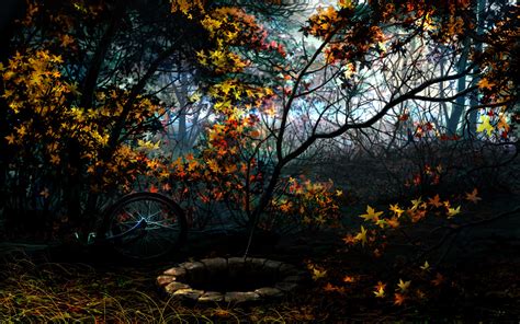 Download Wallpaper 2560x1600 Trees Autumn Well Forest Bike Art