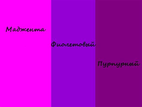 Оттенки фиолетового цвета. Палитра, фото с названиями