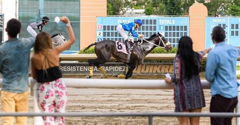 Has llegado a la edición de argentina. Hipodromo camarero resultados de hoy, ALQURUMRESORT.COM