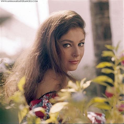picture of pier angeli