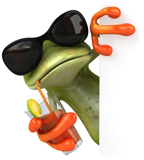 Frog Sunglasses Cool Animal Stock Photos Pictures And Royalty Free