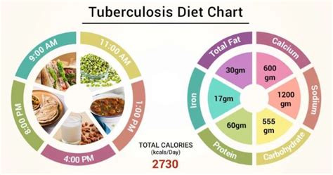 Tuberculosis (tb) is a bacterial infection spread through inhaling tiny droplets from the coughs or sneezes of an infected person. 5 Ideal Foods For A Tuberculosis Patient - Calorie Care