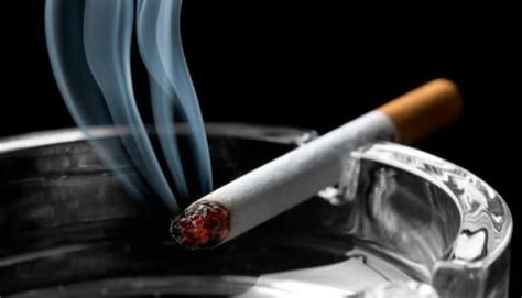 Penjelasan Lengkap Kandungan Zat Pada Rokok Dan Bahaya Merokok Bagi