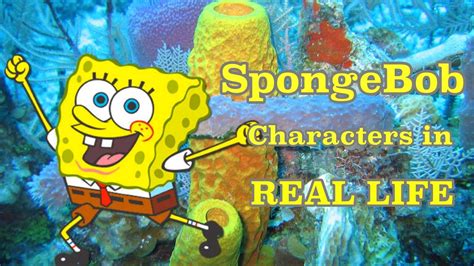 Spongebob Characters In Real Life Youtube