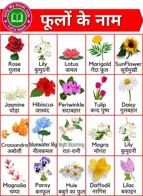 Flowers Name Hindi And English Archives Onlymyhindi