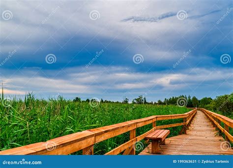 Wetland Park Wooden Walkway The Long Wooden Bridge Above The Water