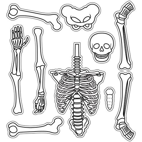 Free Printable Life Size Skeleton